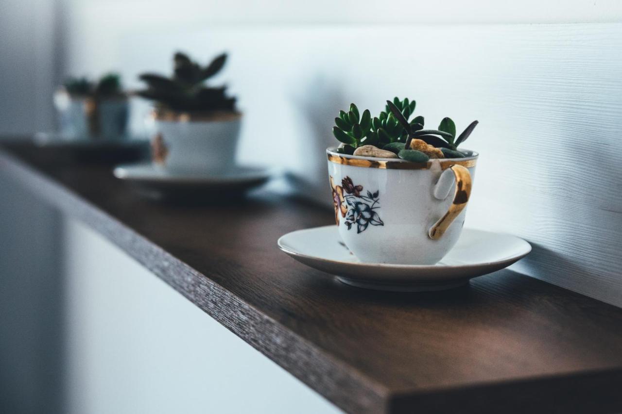 Apartmány na náměstí Šumperk Kültér fotó
